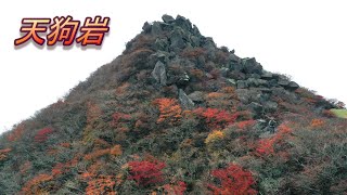 黒岳の天狗岩までの紅葉【VR180】