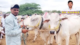 pebbair market-pebbair bulls market-pebbair market today-pebbair bulls bazar-ox videos-cattle videos