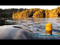 Kelp Farm in Useless Inlet  - Cascadia Seaweed