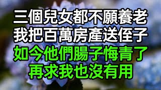 三個兒女都不願養老，我把百萬房產送侄子，如今他們腸子悔青了，再求我也沒有用#深夜淺讀 #為人處世 #生活經驗 #情感故事