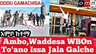 OMN: ODDU AMME - WBOn Magalaa Ambo,Waddesa Haraa To'ano Issa Jala Galche ||Moha Oromo