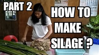 HOW TO MAKE SILAGE  FERMENTATION USING SUGARCANE LEAVES..( SCHOOL ACTIVITY)