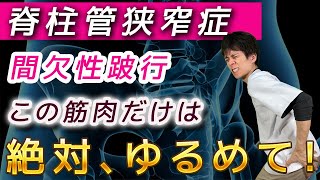 【脊柱管狭窄症ストレッチ】5分毎に休憩しないと歩けない間欠性跛行を股関節ストレッチで改善【腸腰筋ストレッチ】