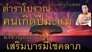 คนเกิดปีมะแม เสริมโชคลาภ บารมี เงินทองดวงชะตาและ มิ่งขวัญท่าน ต้นไม้เสริมดวง #ชัยเสริฐกิ่งเพชร