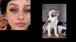 Meet Denise Frazier, Dog Lover/Enthusiast/Voyeur - She "Has Fetish" - Was Arrested In Church w/Dog