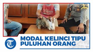 Bermodal Kelinci, Seorang Pria Tipu Puluhan Korban Hingga Raup Miliaran Rupiah selama 3 Tahun