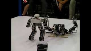 Robot Pro-Wrestling Dekinnoka!13 Saaga vs Waroo