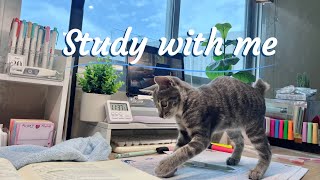 🐈อ่านหนังสือเป็นเพื่อนกัน|Study with me