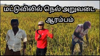 மட்டுவிலில் நெல் அறுவடை ஆரம்பம் #trending #Madduvil#jaffna #100k #viral ##newupdate #விவசாயம்