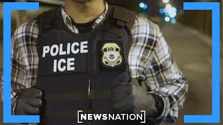 DHS releases new immigration arrest data | NewsNation Live