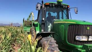 Cortando maíz y probando cabezal nuevo para ensiladora John deree 🚜🌽