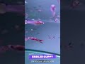 ENDLER GUPPY