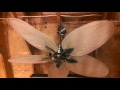 fanimation windpointe ceiling fan with palm leaf blades