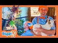 BLIPPI’S TOP TEN MOMENTS WITH ANIMALS! - Blippi | Educational Videos for Kids