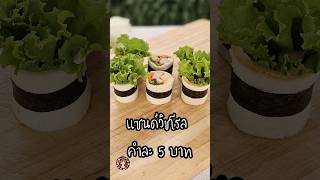 แซนด์วิชโรล ทำง่าย ๆ ขายคำละ 5 บาท แซนด์วิชซูชิคำละ 5 บาท