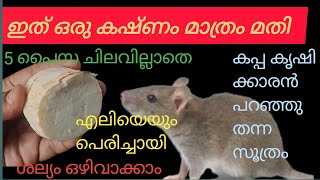 ഒരു രൂപ പോലും ചിലവില്ലാതെ വീട്ടിലും കൃഷി സ്ഥലങ്ങളിലും ഉള്ള എലിയെയും  പെരിച്ചായിയെയും തുരത്താം