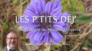 1394 - Les P'tits déj' spirituels - À toi la grandeur - 1 Chroniques 29.11