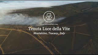 Luce della Vite - Brunello di Montalcino