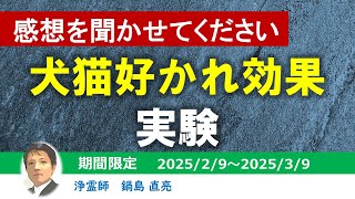 【 期間限定 】犬猫好かれ効果 実験（ 浄霊師　鍋島直亮 ）