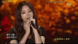 【繁中】130915 演唱會7080 콘서트 Davichi - 只有思念堆積 그리움만 쌓이네 SK