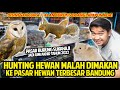 HUNTING HEWAN BUAT DIMAKAN KE PASAR BURUNG SUKAHAJI! PASAR HEWAN TERBESAR DI BANDUNG! APA AJA ADA!