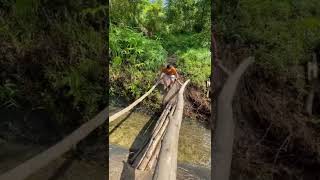 Rawang Bypass Bukit Kuari Hiking Trail. 马来西亚最高的高速公路