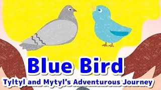 絵本 英語朗読 読み聞かせ 字幕付き｜青い鳥／Blue Bird：Tyltyl and Mytyl's Adventurous Journey