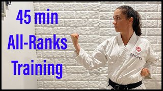 Karate workout: 45min all ranks class