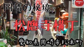 【昭和レトロ】愛知県岡崎市松本町　松應寺横丁懐かしの鉄板ナポリタン　なかみせ亭古い街並み　商店街　岡崎の秘境