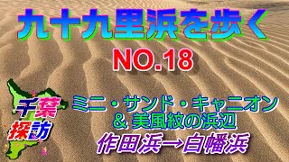 【千葉探訪】九十九里浜を歩く ・浜の魅力を紹介(全長66km踏破) NO.18　\