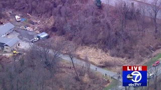 NewsCopter 7 searching for a possibly rabid coyote in Westchester