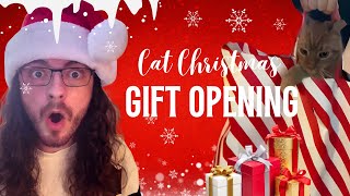 Fan Mail Christmas Special: My Cats Open Their Gifts!🎄