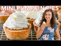 Mini Pumpkin Pies Recipe - Your Favorite Fall Dessert!