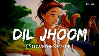 Dil Jhoom (Slowed + Reverb) | Arijit Singh | Gadar 2 | SR Lofi