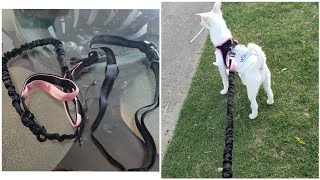 SparklyPets Hands-free Dog Leash |🐶