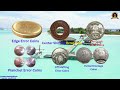 பிழை நாணயங்கள் வகைகள் மற்றும் மதிப்பு error coins varieties and value