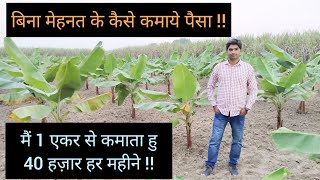 एक एकड़ से 30 से 40 हज़ार कैसे कमाये || Best Agriculture Business Model || Hello Kisaan