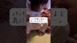 【一歳】パパの膝に座ると気になるのが…。 #パパと娘 #爆笑#癒し動画 #1歳