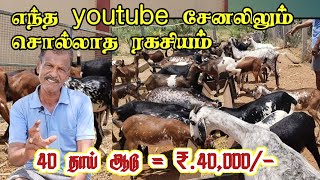 மாதம் ₹.40,000 வேண்டுமா? எந்த youtube சேனலிலும் சொல்லாத ரகசியம்/ Ex.police officer experience