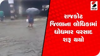 Rajkot  જિલ્લાના લોધિકામાં ધોધમાર વરસાદ,  ખેડુતો અને માલધારીઓમાં ખુશીનો માહોલ  @SandeshNewsTV