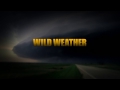 WILD WEATHER preview