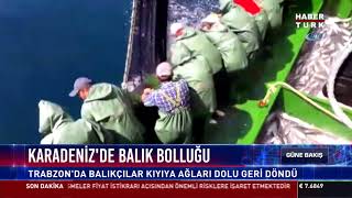 Karadeniz'de balık bolluğu