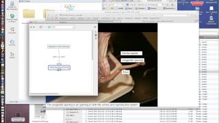 Cmap Resources Tutorial