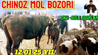 CHINOZ MOL BOZORIDA ONA -BOLA SIGIRLAR NARXLARI BILAN TANISHAMIZ 🐄🐄🐄🐄🐄🐄💯