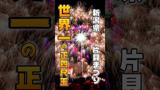 圧巻！！世界一の正四尺玉！！新潟県の片貝まつり。#shorts #fireworks #四尺玉