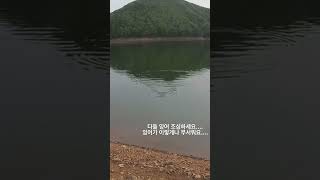 잉어의 난폭성 고발.....🚓 #bigbait #루어낚시 #낚시 #잉어 #crappiefishing #drt