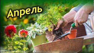 Апрель. Как помочь комнатным растениям проснуться весной?