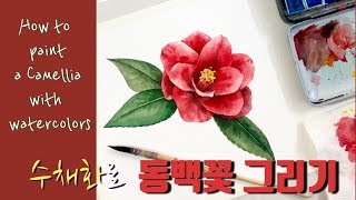 수채화로 동백꽃 그리기 watercolor painting camellia