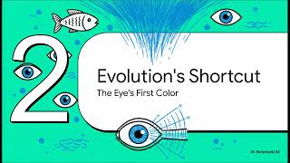 Why Can So Many Animals See Blue—but Not Other Colors?