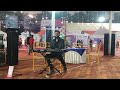 O meri jaan || live performance by Harsh Gautam || Cover song||